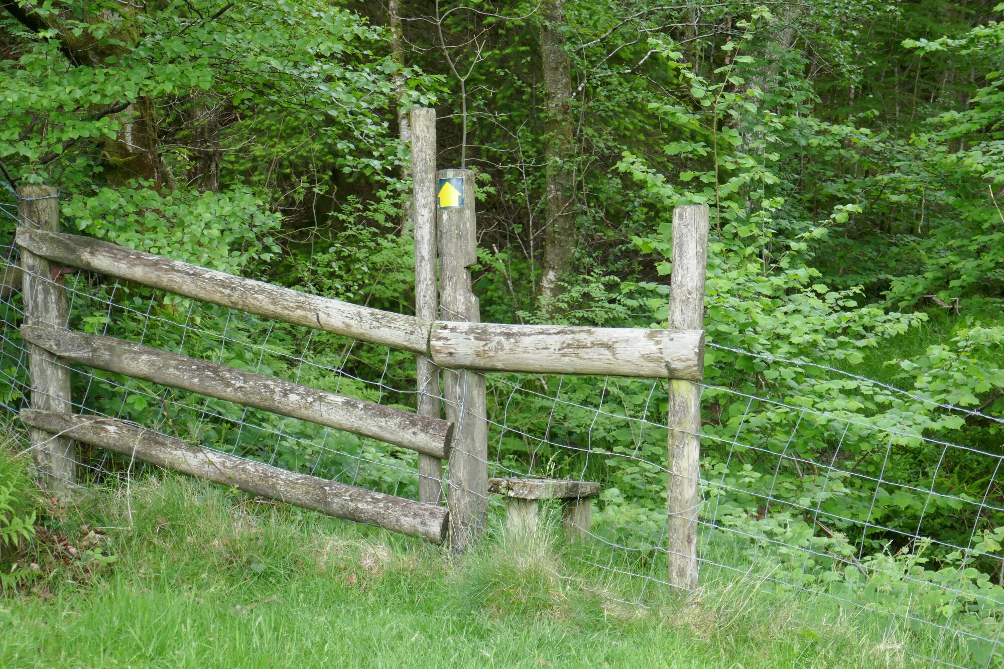RachelSeabrook.net | Wild Walking | Devils-Bridge; pic26A
